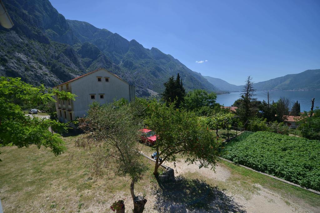 B & M Apartments Kotor Zewnętrze zdjęcie